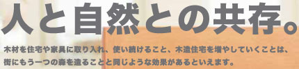 人と自然の共存。木材を住宅や家具に取り入れ、使い続けること、木造住宅を増やしていくことは、街にもう一つの森を造ることと同じような効果があるといえます。